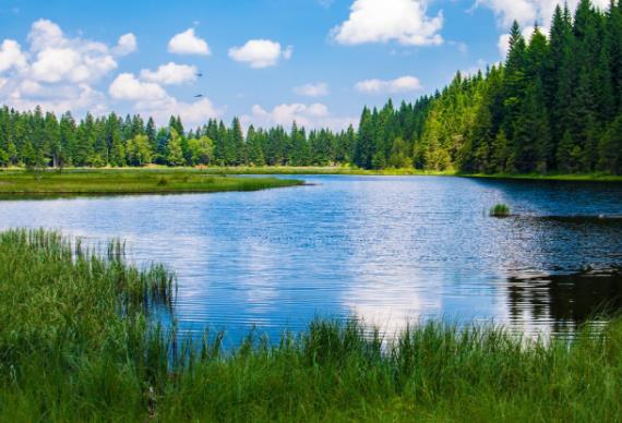 火电厂外排的高盐废水危害几监测问题 火电厂外排的高盐废水危害几监测问题