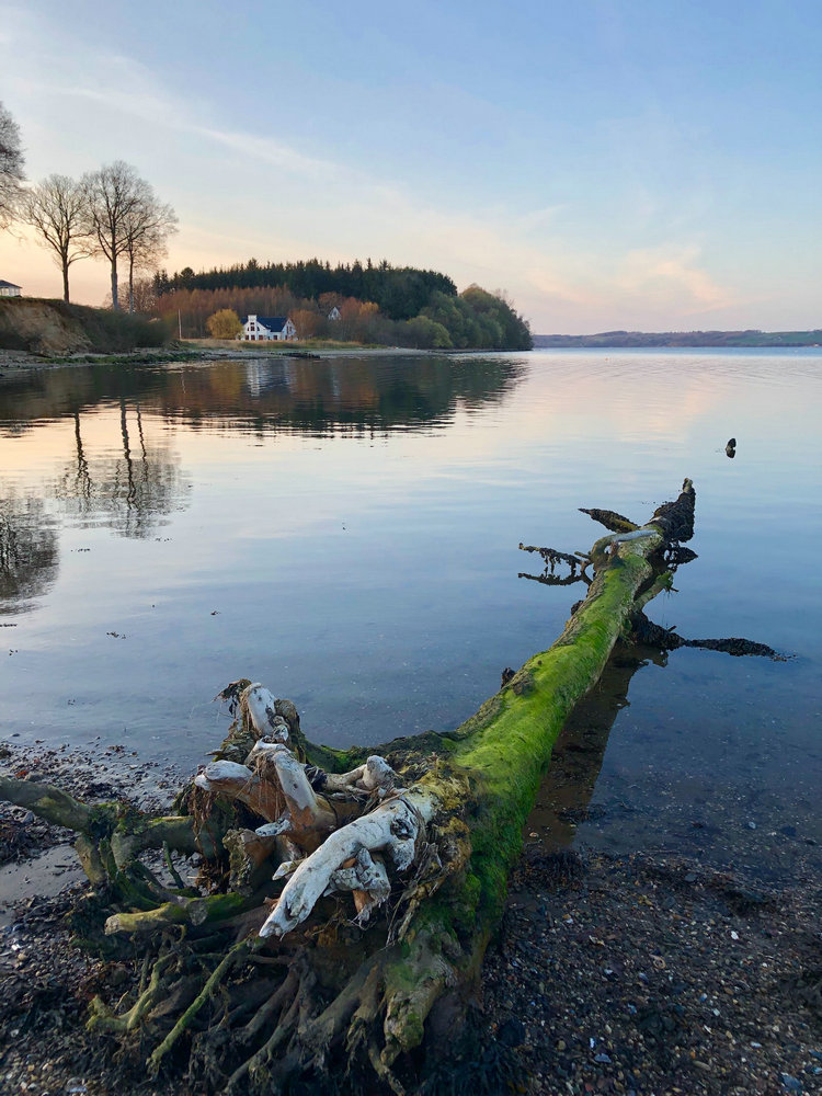 溶解氧分析仪 溶解氧分析仪